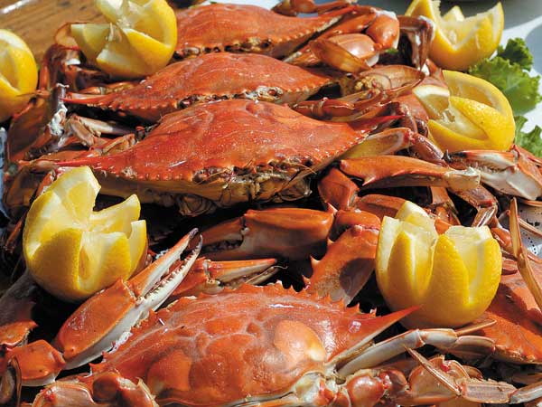 crabs